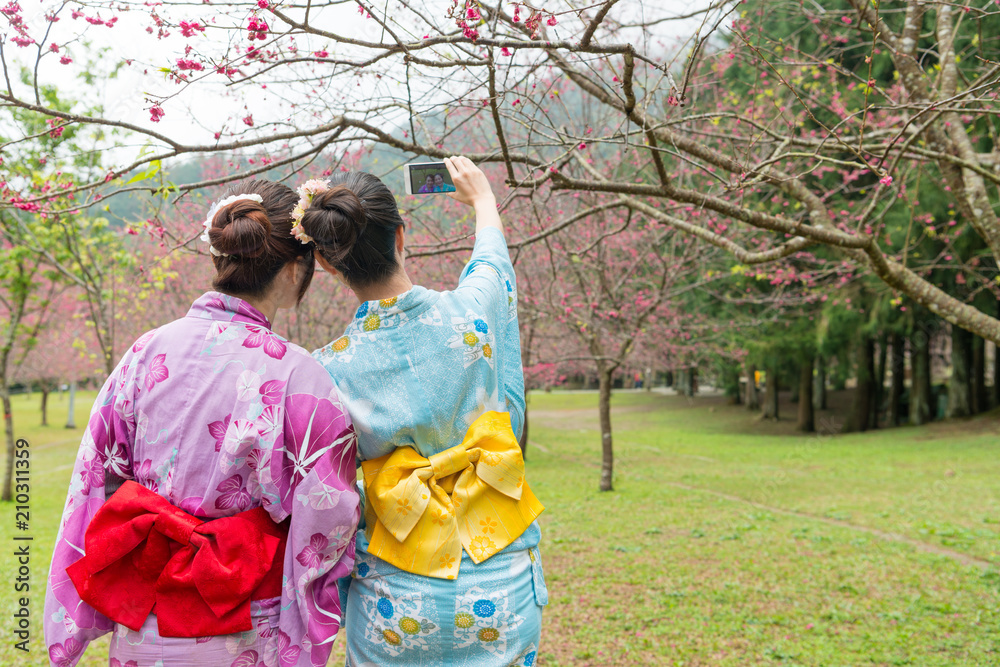 樱花树下女士们双手的背面视图