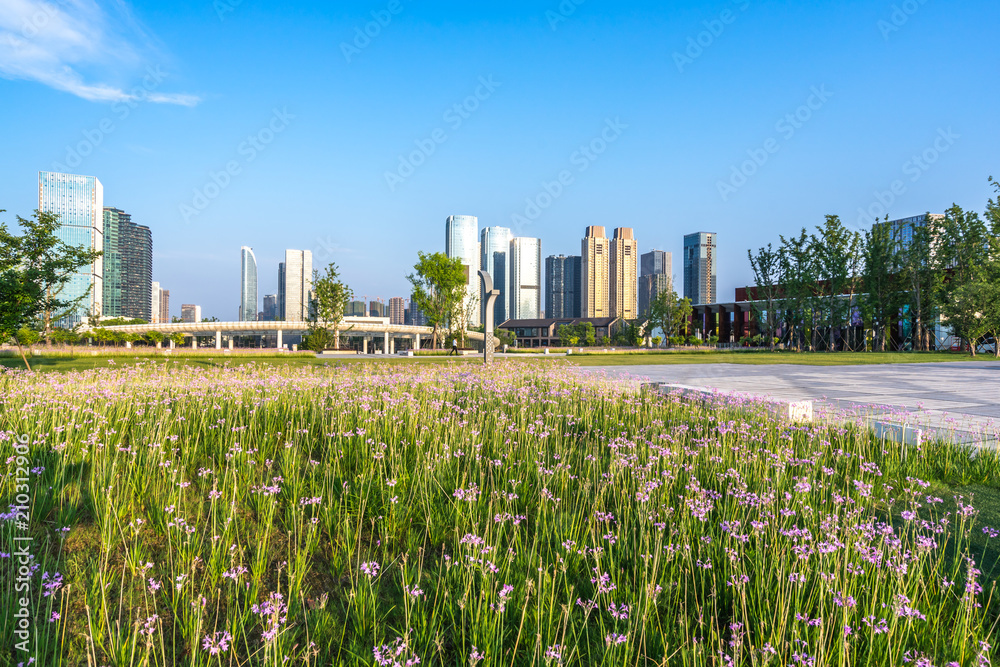 城市天际线全景