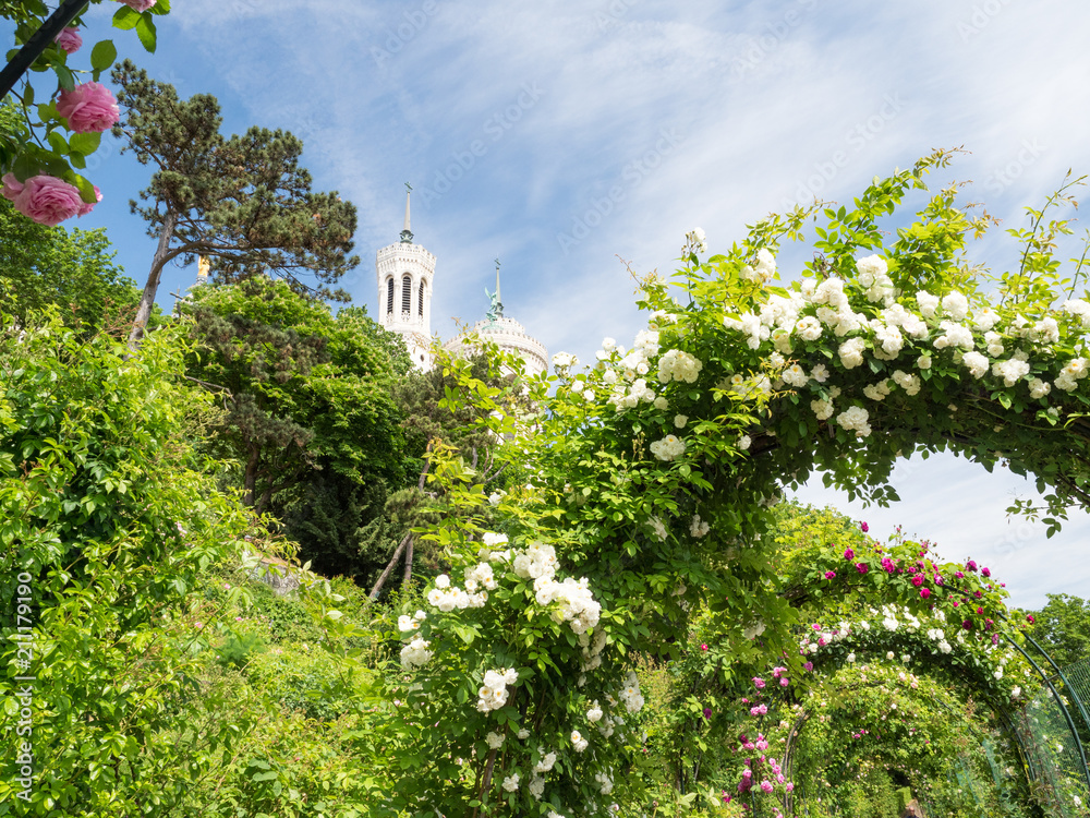 Jardin du Rosaire, Lyon, France. Its a great place for the whole family to visit. The fresh breeze 