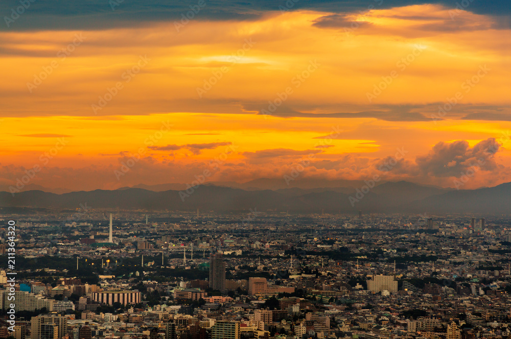 新宿高層ビルから見る東京の夜景