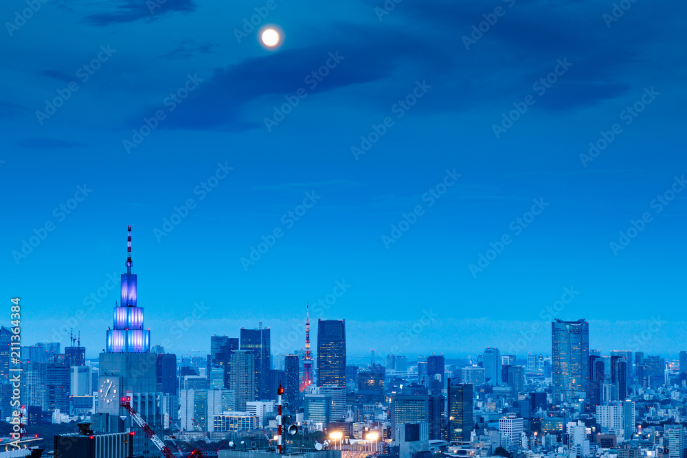 新宿高層ビルから見る東京の夜景