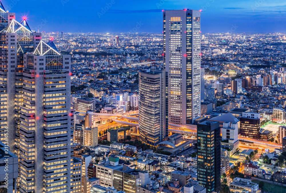 新宿高層ビルから見る東京の夜景