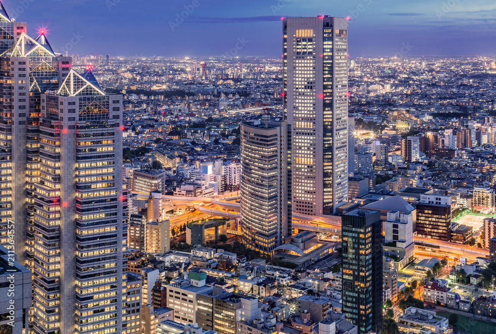 新宿高層ビルから見る東京の夜景