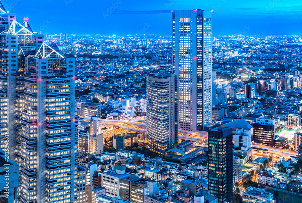 新宿高層ビルから見る東京の夜景