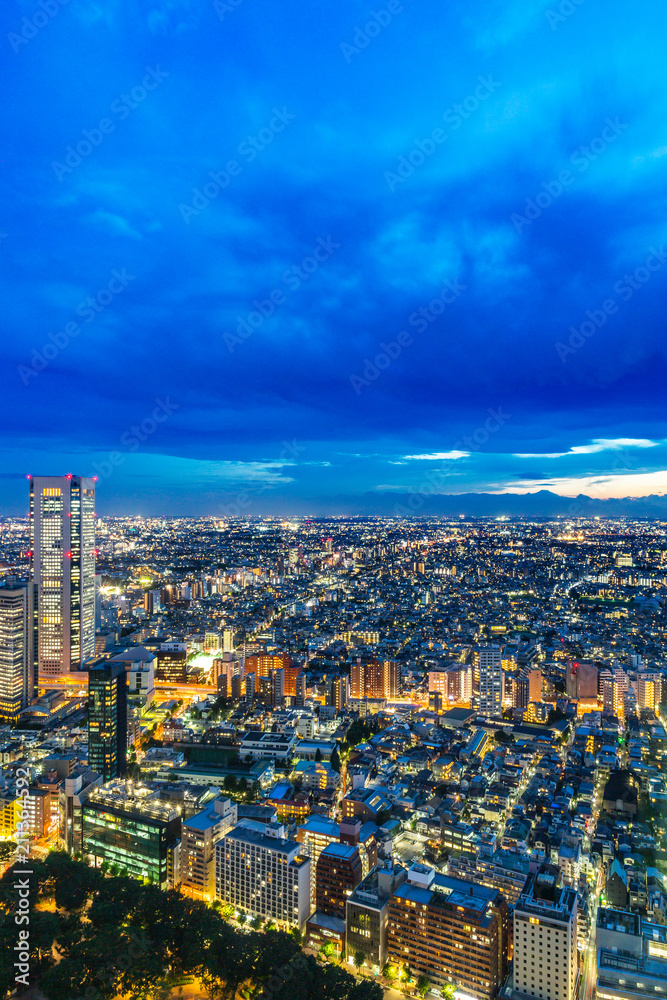 新宿高層ビルから見る東京の夜景