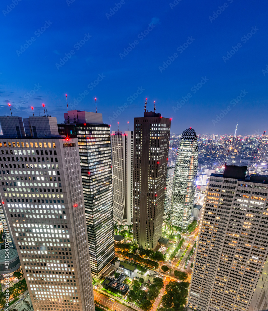 新宿高層ビルから見る東京の夜景