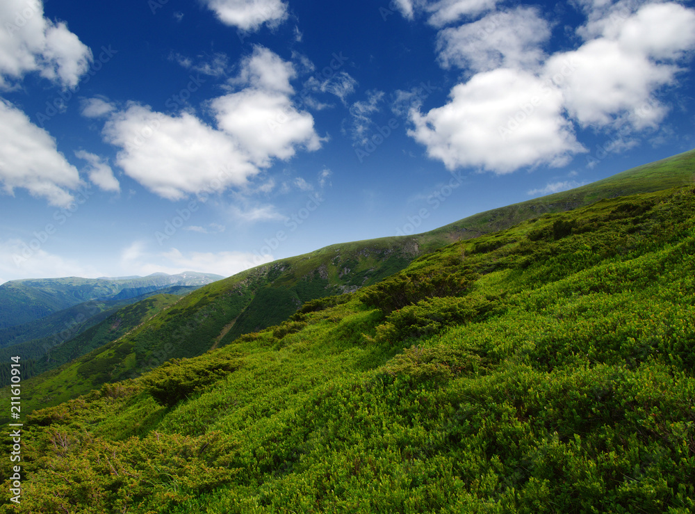 Mountain landscape in summer