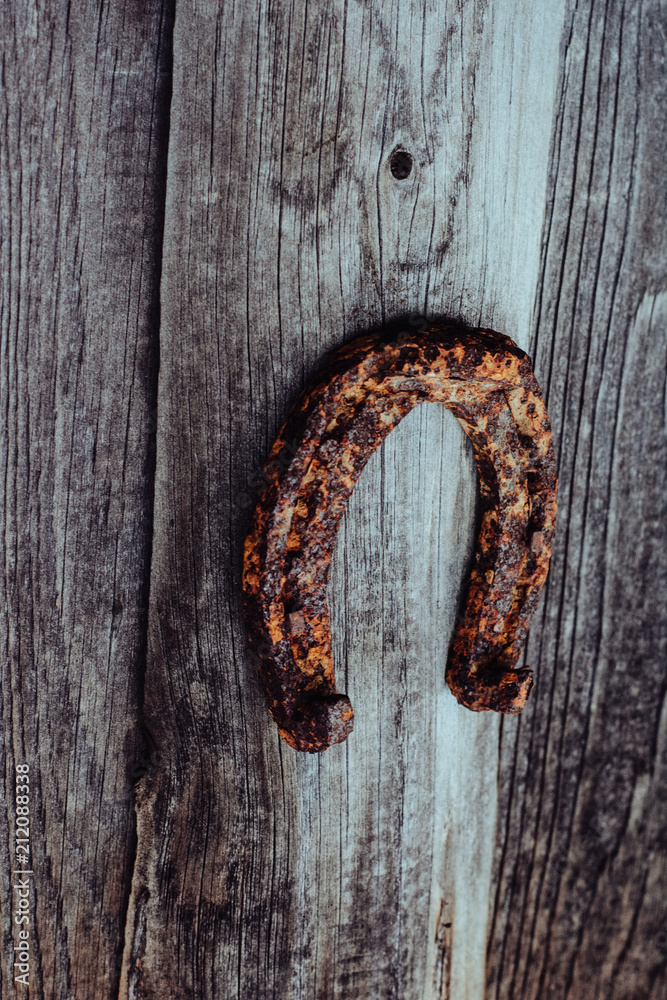 Horseshoe. Rusty texture horseshoe in beautiful light. The natural environment. Horseshoe for horses