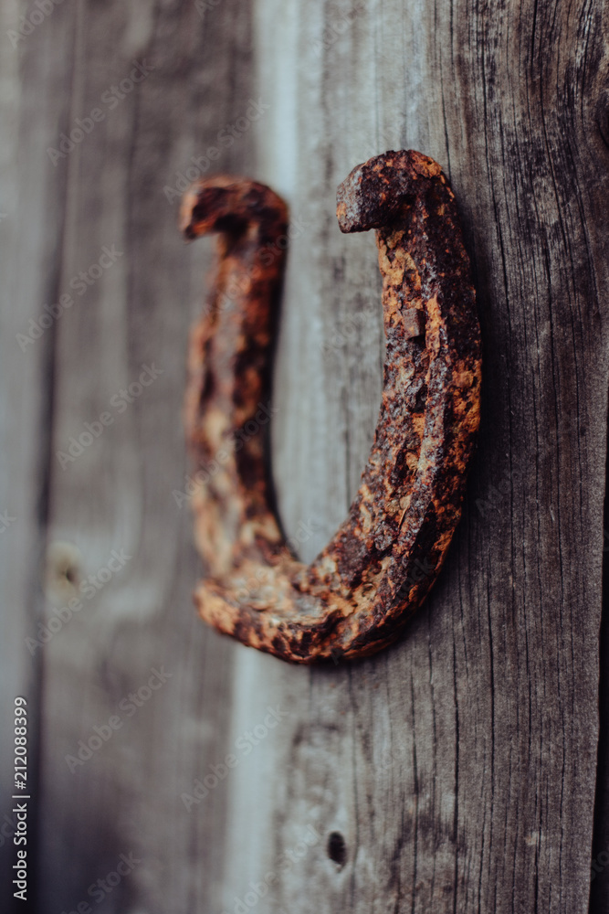 Horseshoe. Rusty texture horseshoe in beautiful light. The natural environment. Horseshoe for horses