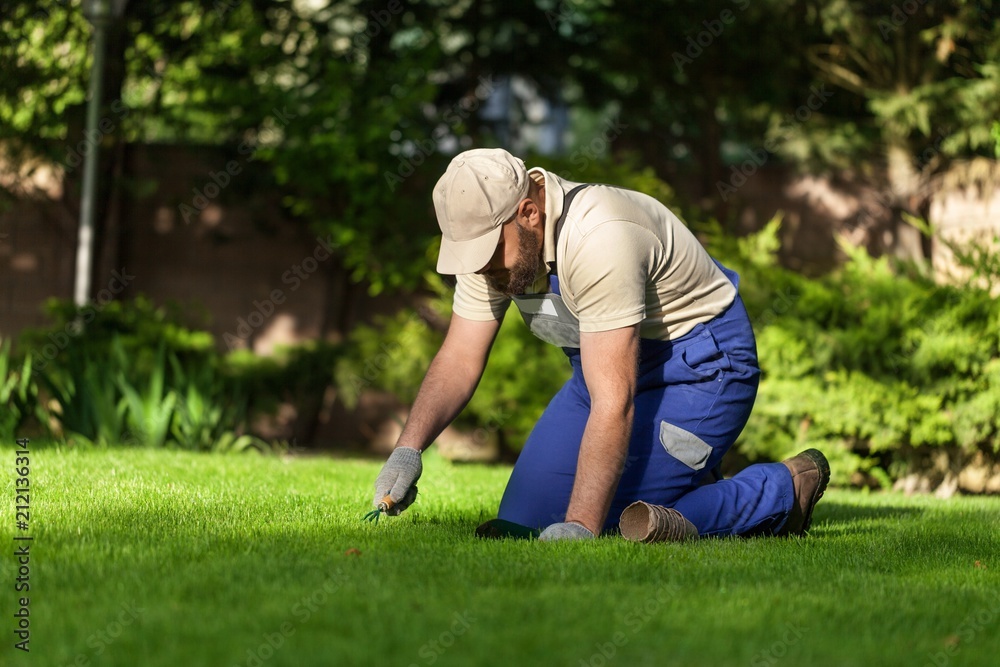 Landscaping.