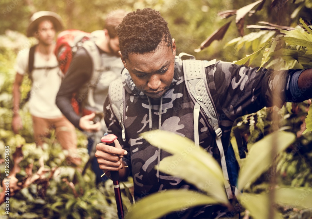 Trekking in a forest