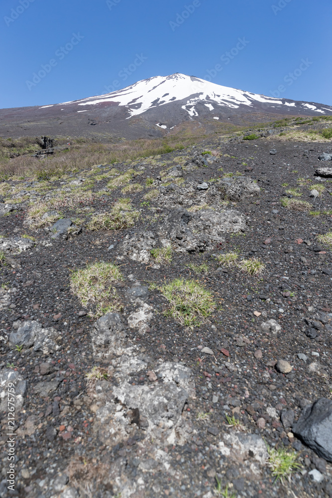 富士山之巅，雪与春天的富士山自然休闲林径