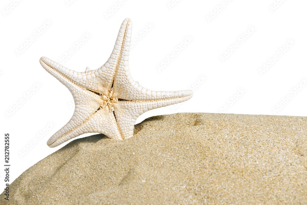 Starfish Isolated