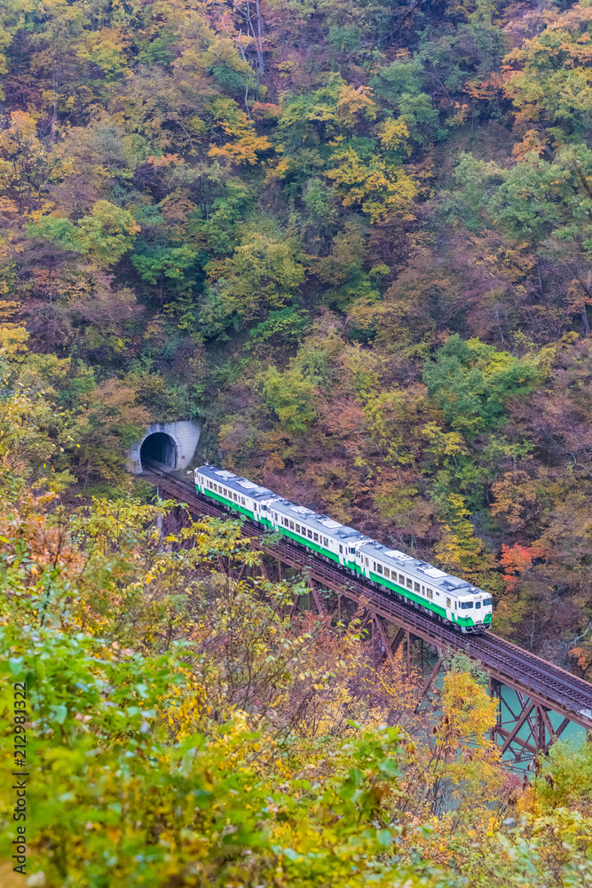 秋天的福岛三岛町田见线