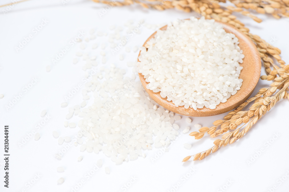 white rice in wooden bowl and unmilled rice isolated on white background