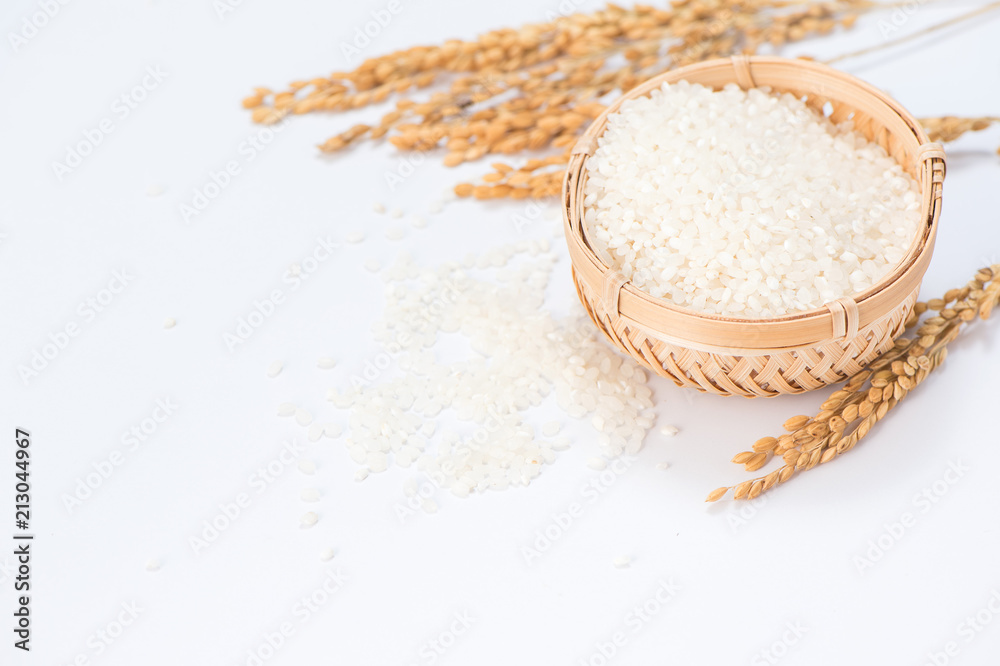 white rice in wooden bowl and unmilled rice isolated on white background