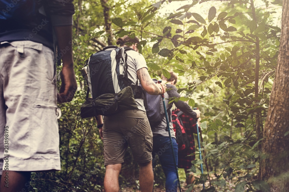 Trekking in a forest