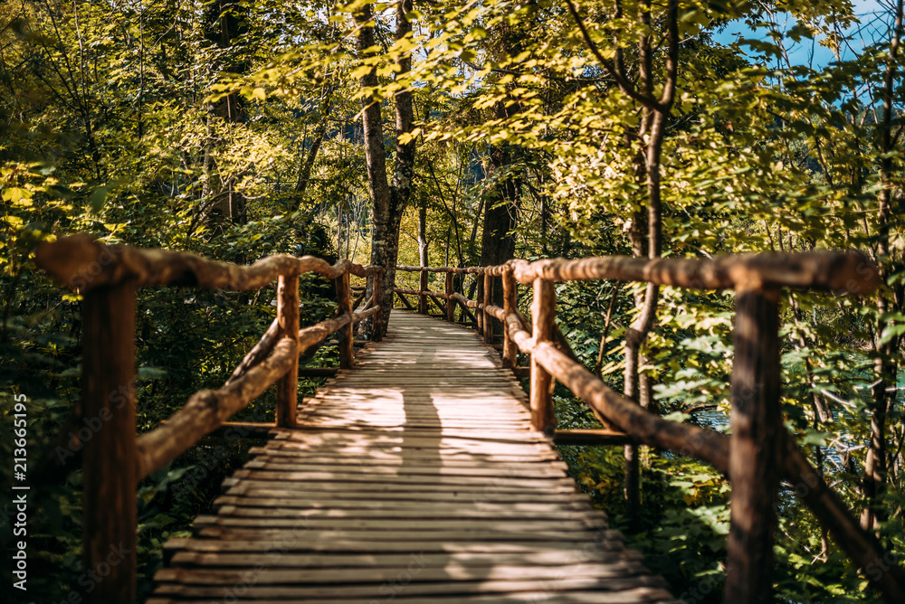 Beautiful wooden forest path.