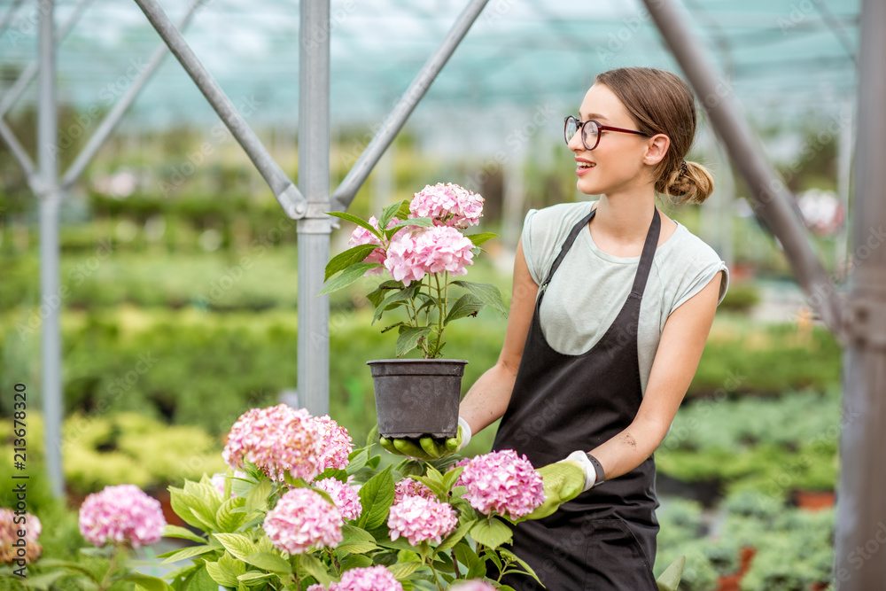 年轻女子在植物店的温室里照料花朵