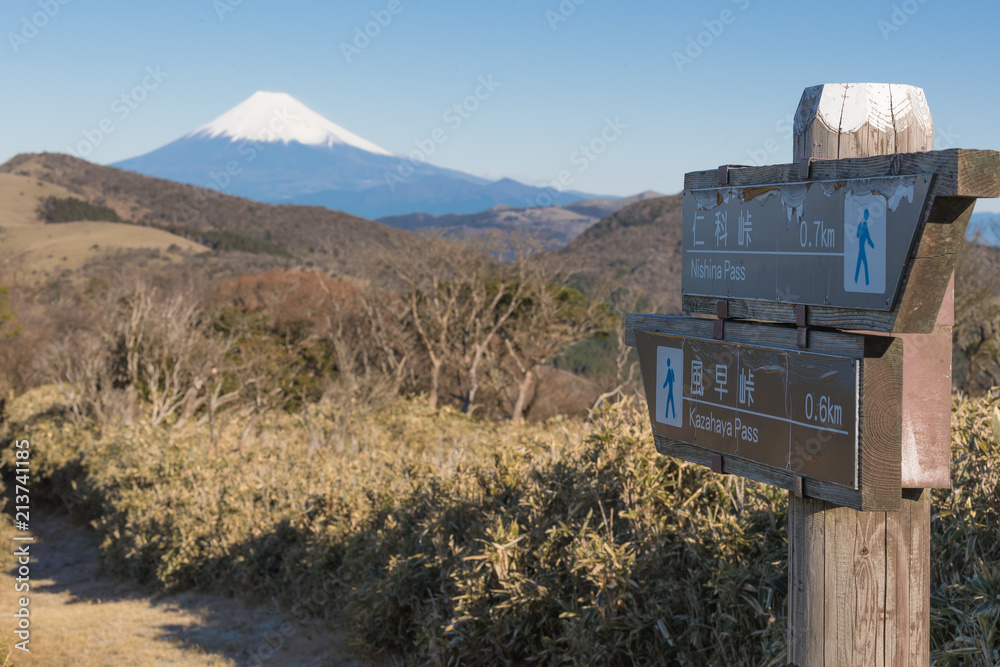 静冈县伊豆市冬季富士山与高山的景色。