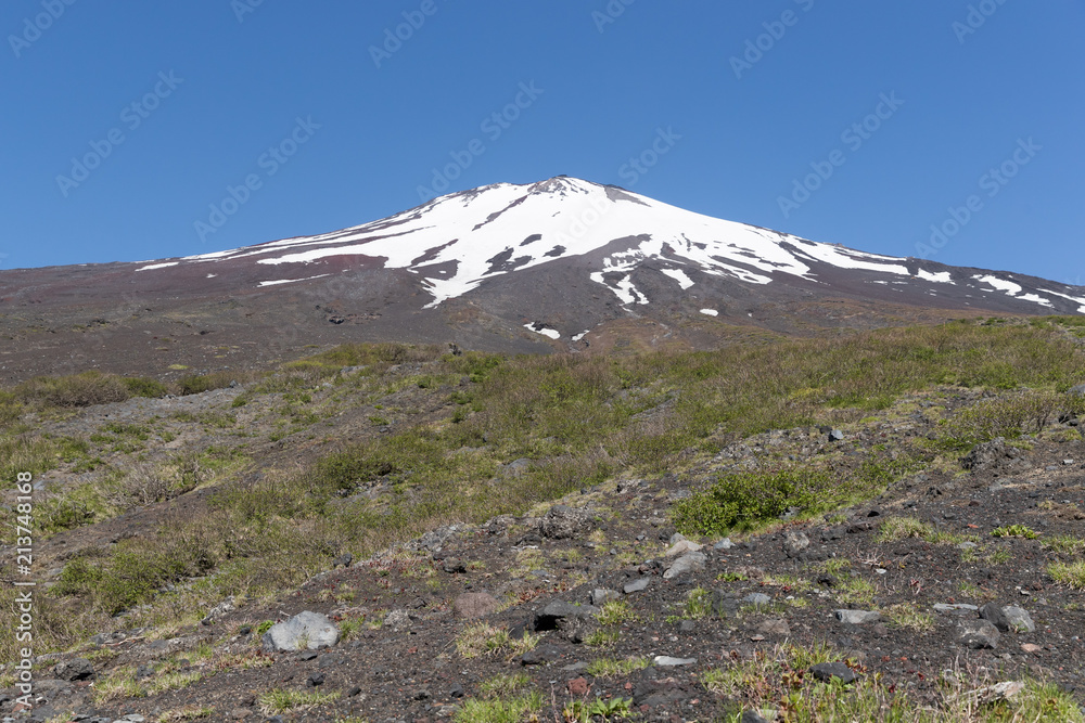 富士山之巅，雪与春天的富士山自然休闲森林步道