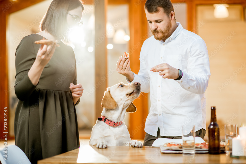 Cute dog dining with couple at the table near the house during the evening light outdoors