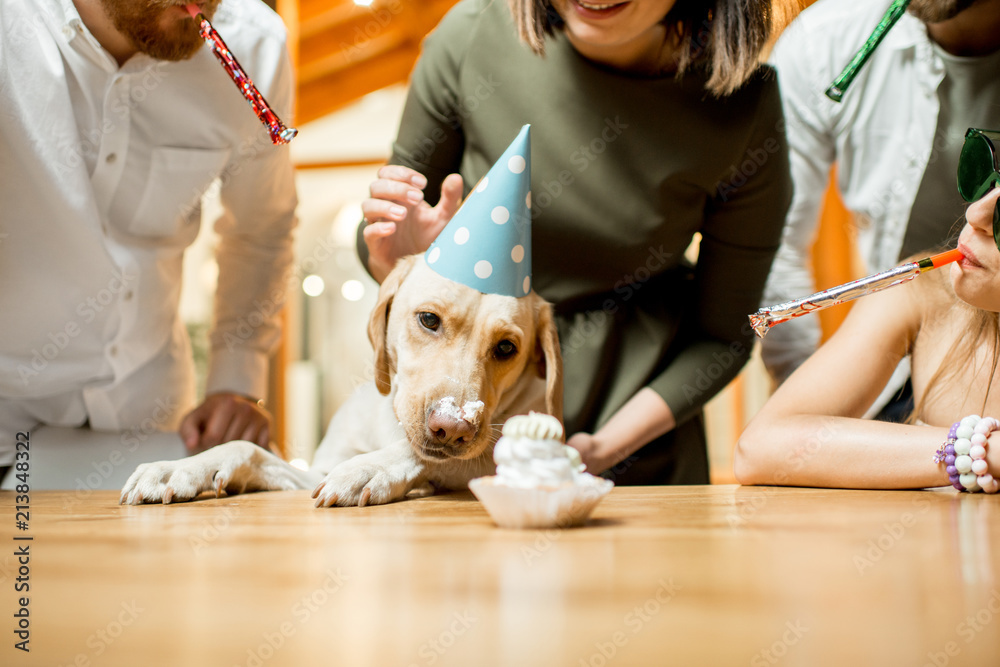 Friends celebrating dogs birthday with cake at the table on the backyard of the house in the evenin