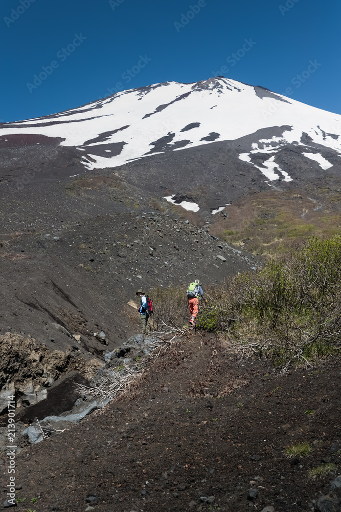 富士山之巅，雪与春天的富士山自然休闲林径