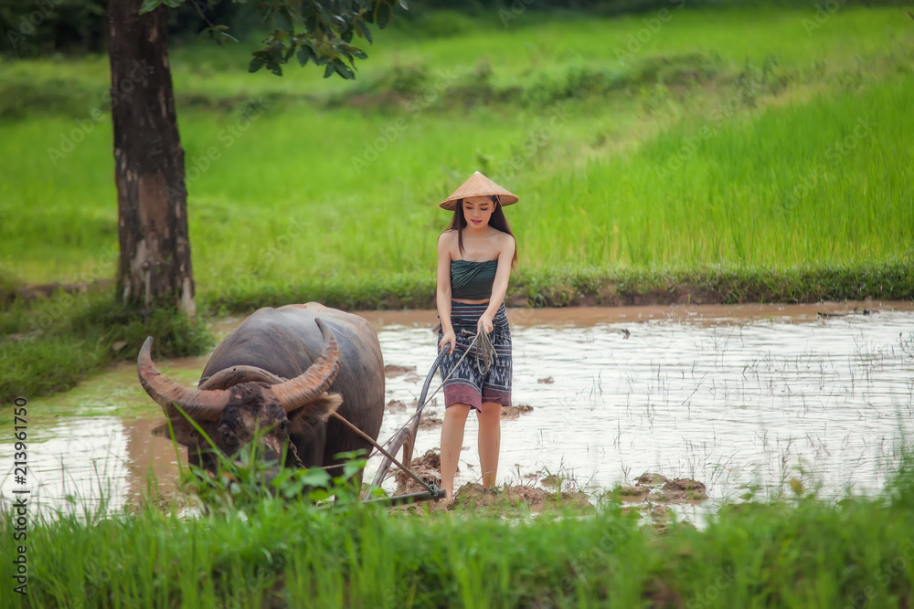 Asian women are using buffalo to grow rice.