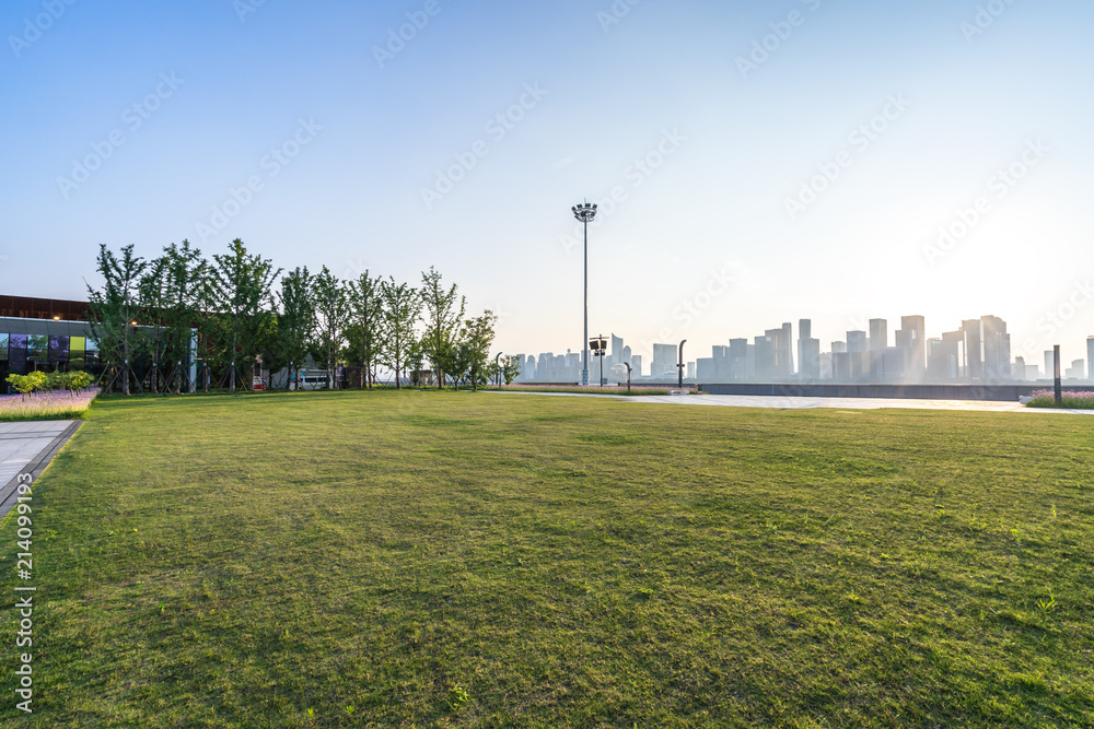 城市天际线的绿色草坪