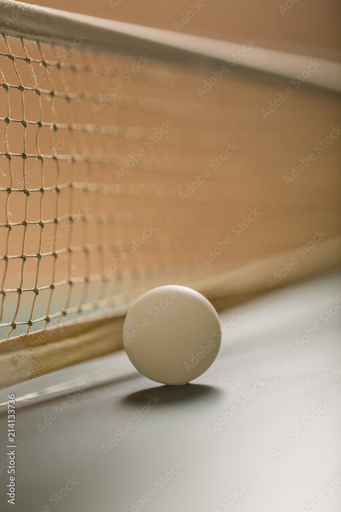 Table Tennis Ball on Table with Net