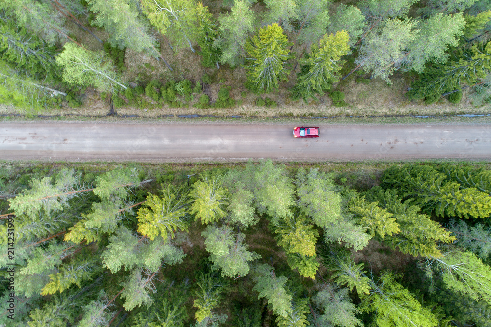 读取汽车在森林道路上的高角度鸟瞰图