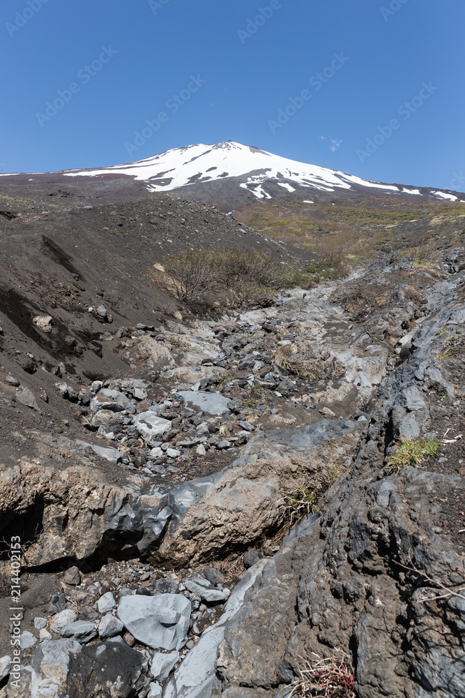 富士山山顶的雪和富士山天然休闲林步道的春天