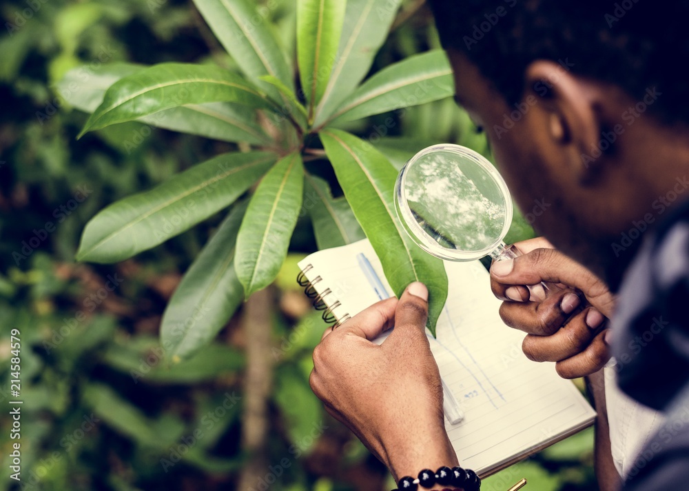 Biologist in a forest