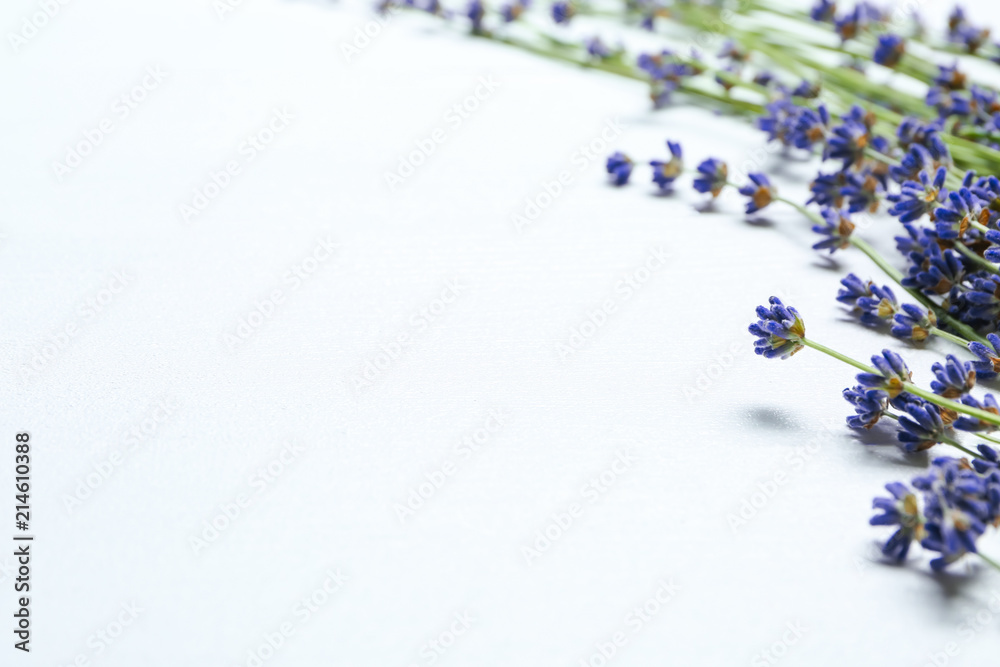 Beautiful lavender on white table