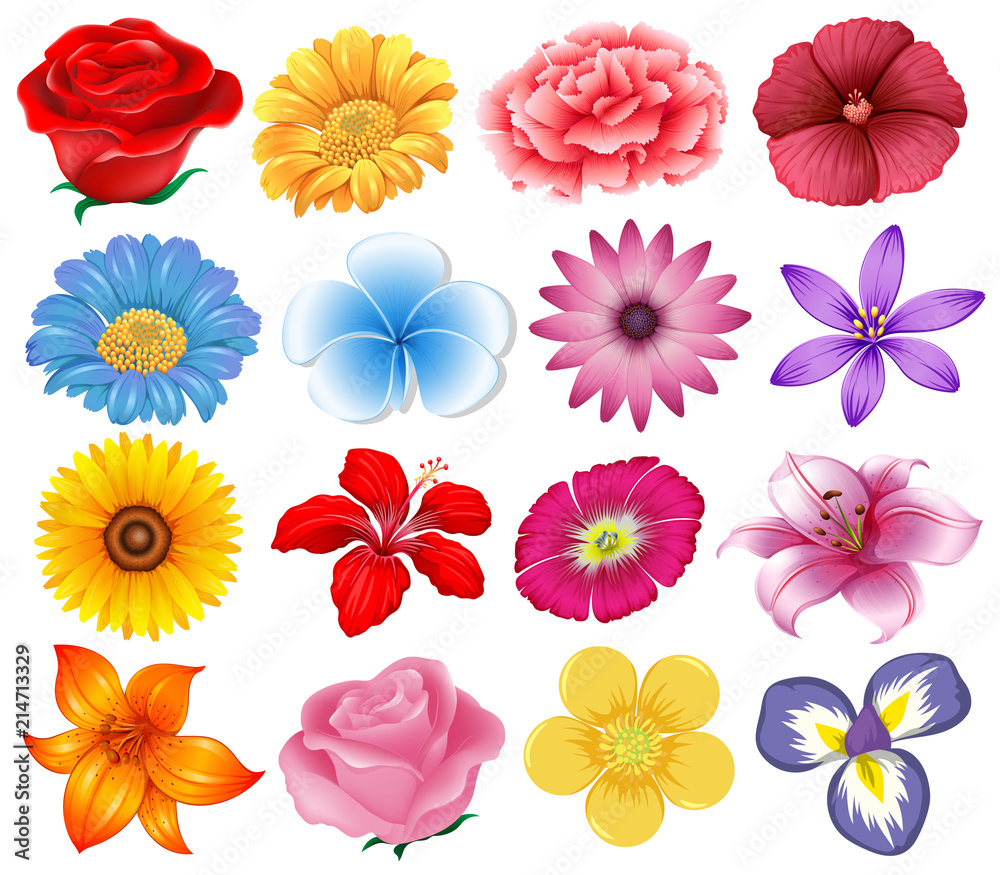 A set of beautiful flowers