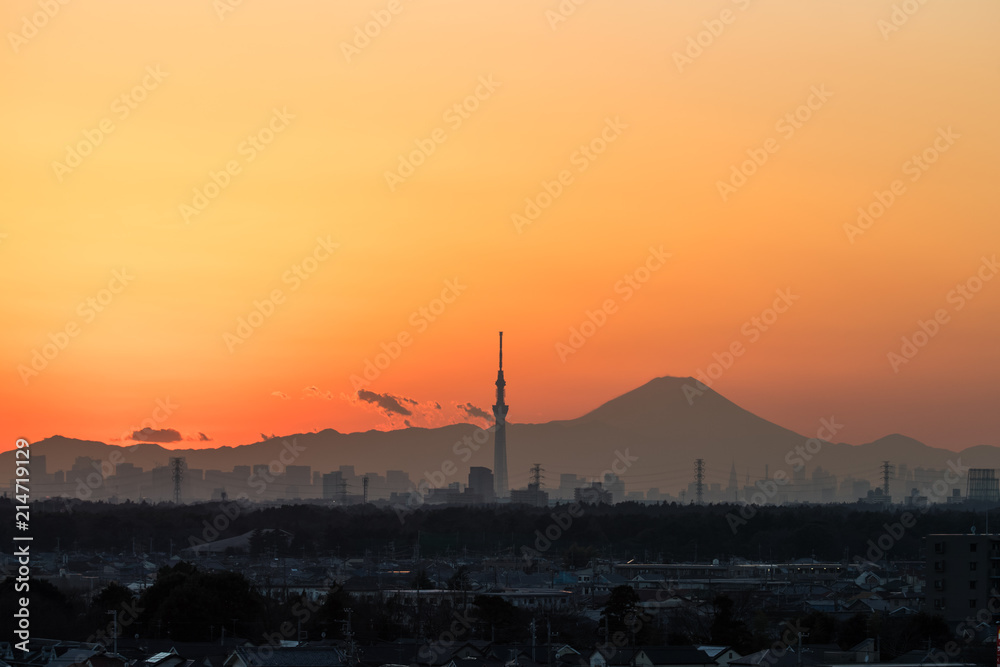 美丽的东京日落城市景观、东京天树地标和冬季日落的富士山