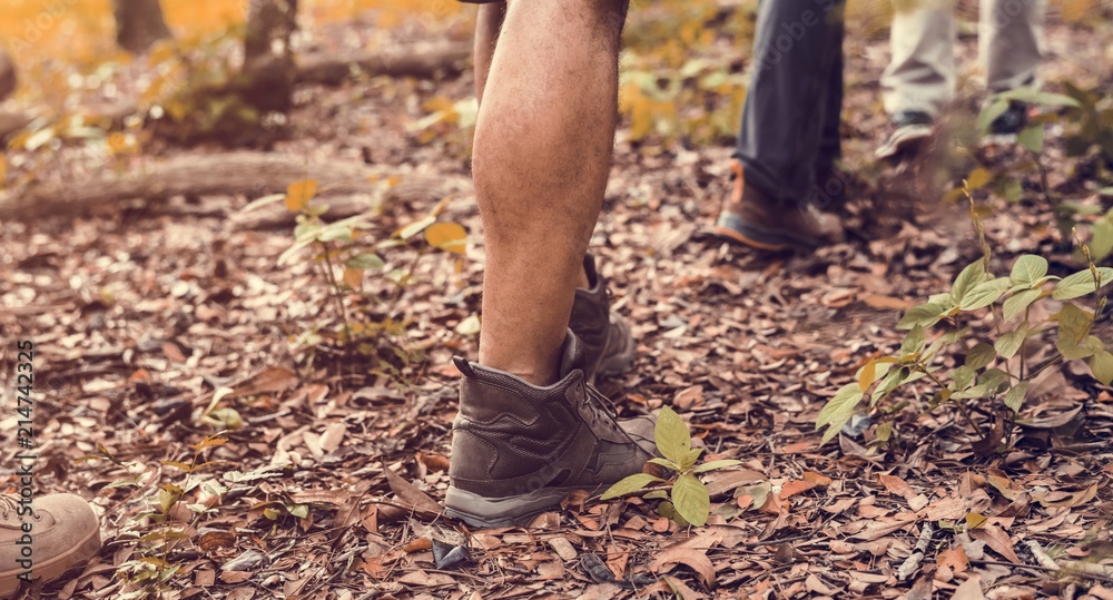 People trekking in the forest