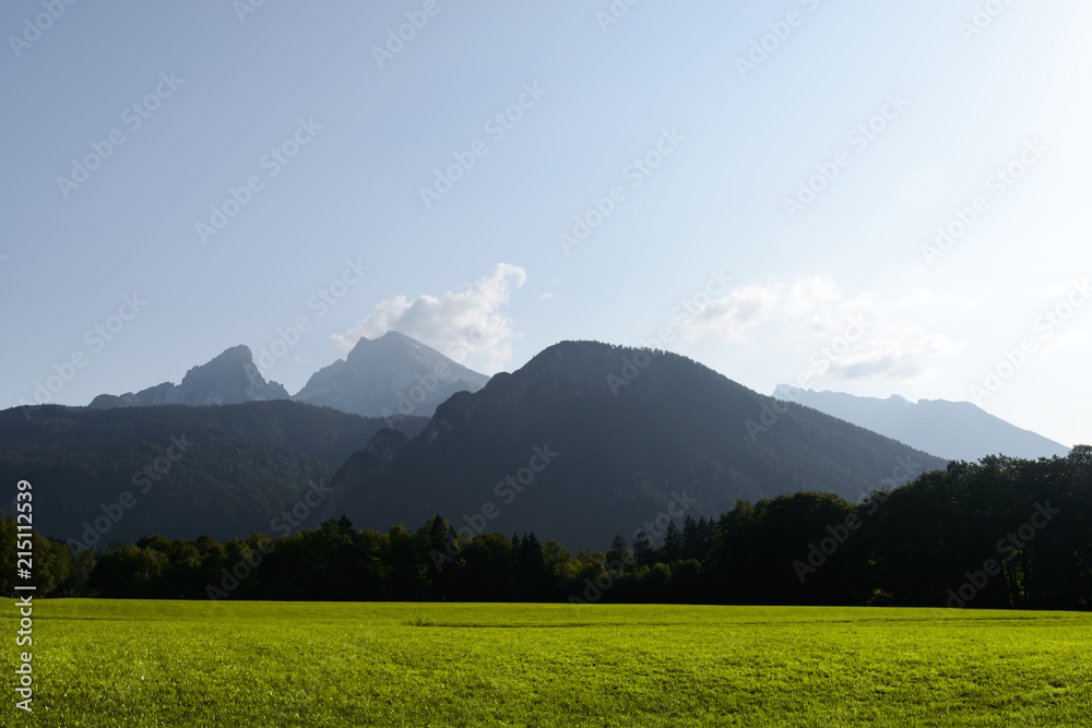 欧洲德国阿尔卑斯山的绿色草地和高山美景