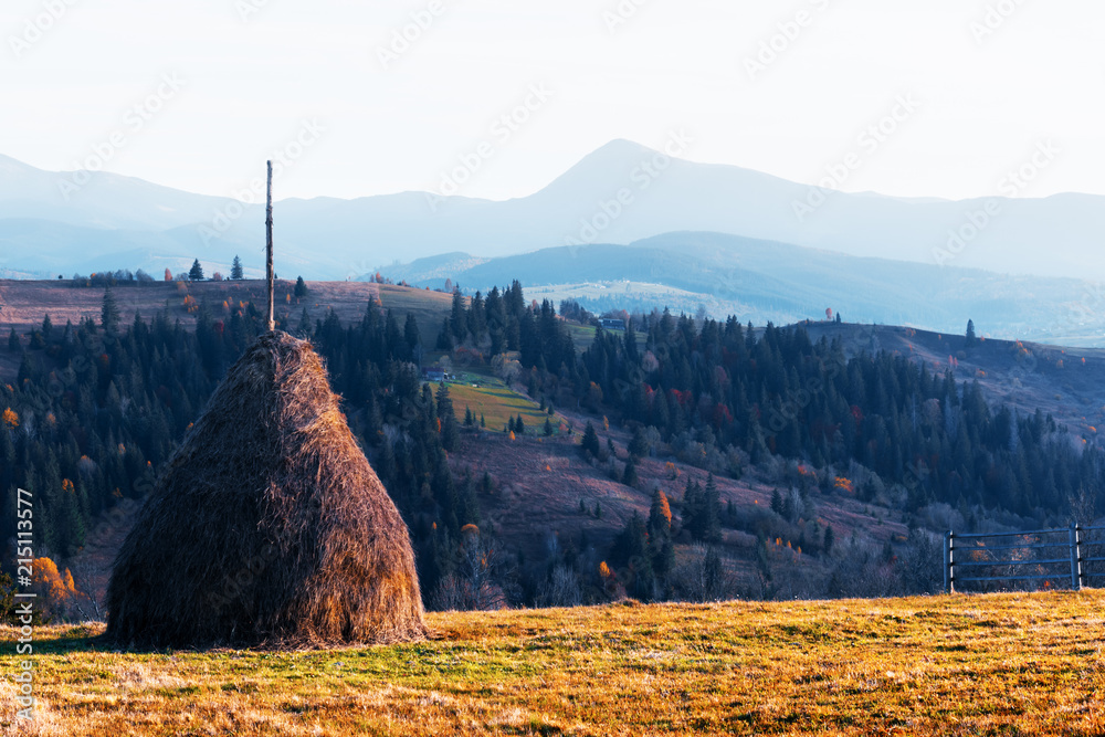 秋谷上令人惊叹的乡村景象。前景是橙色的草地、干草堆和山峰。汽车