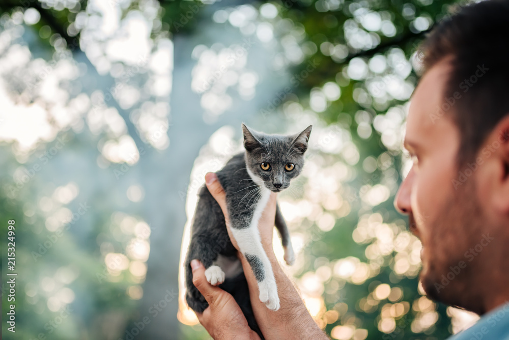 男人抱着一只小猫的特写。可爱的猫正看着镜头。