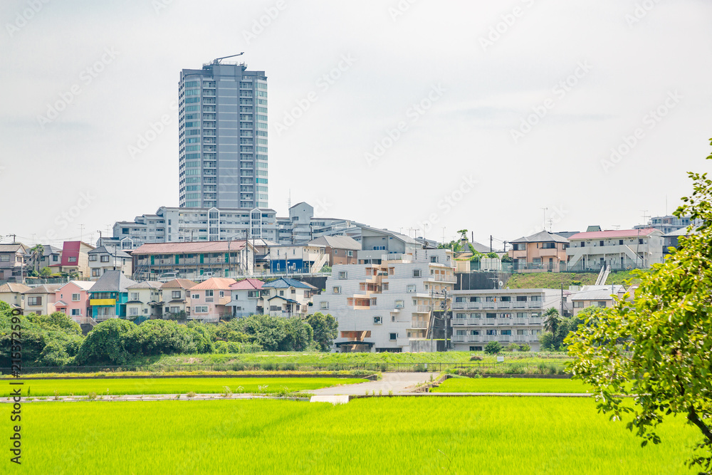 横浜郊外の田園風景