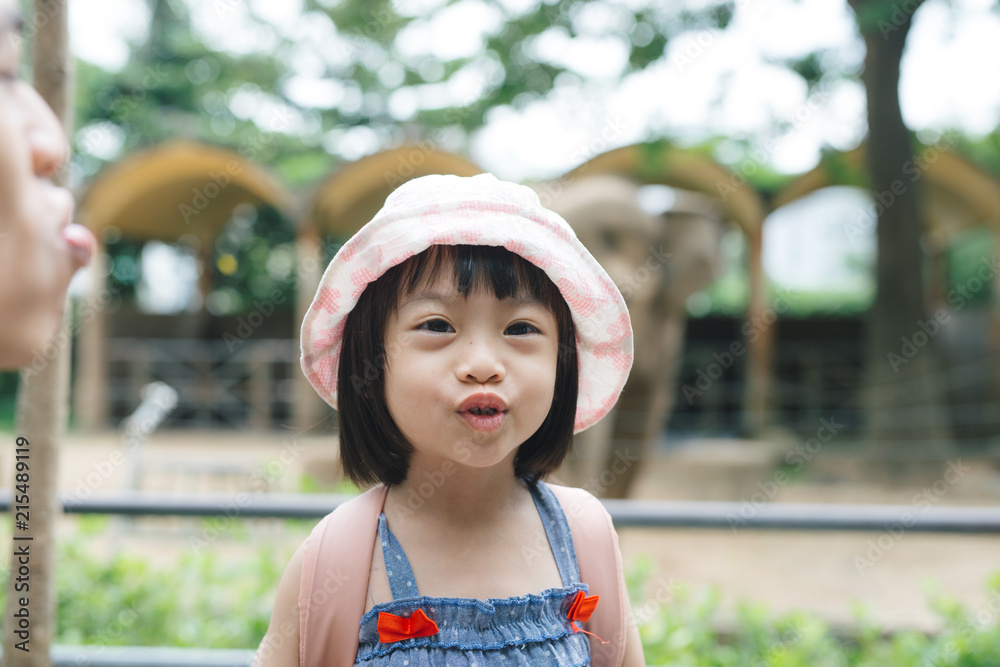 温暖晴朗的夏日，可爱的小女孩在动物园看动物。孩子们在看动物园