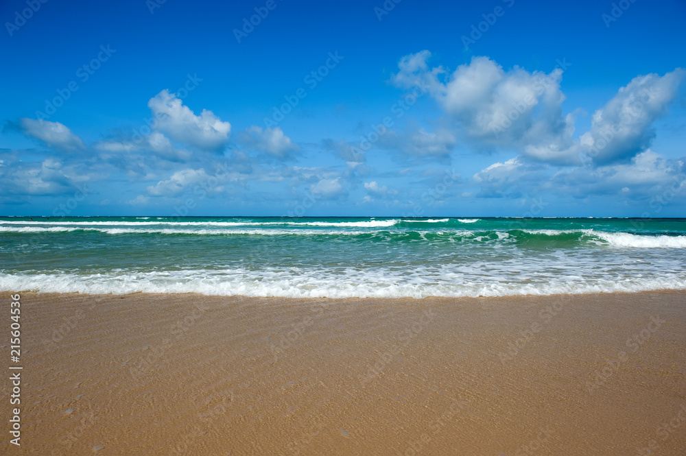 Summer beach and ocean