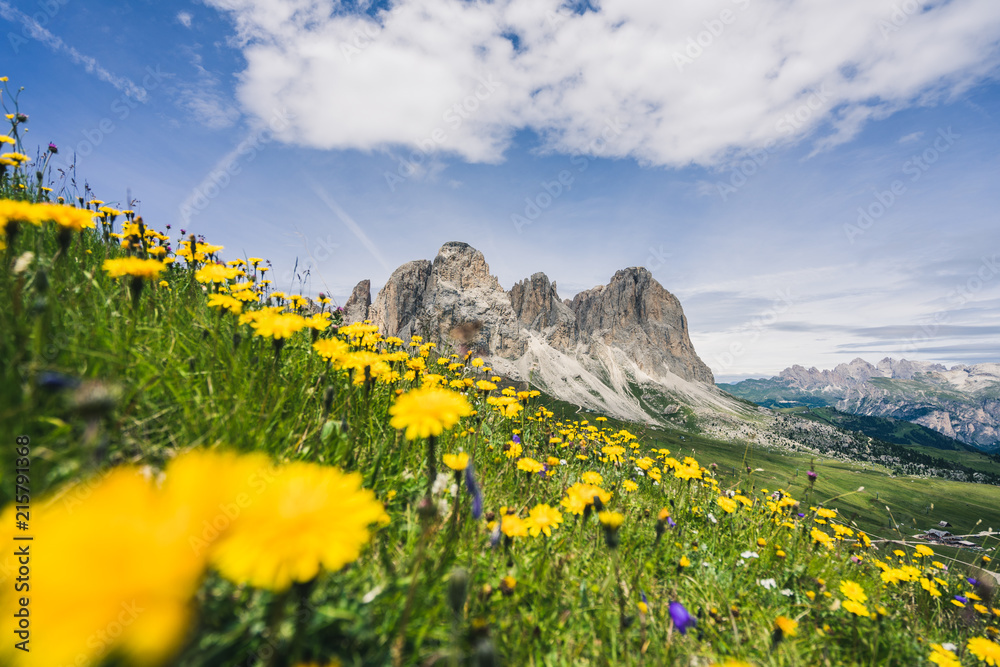 Passo Sella和D州Langkofel的Sassopiatto和Sassolungo高峰的美丽夏季山景