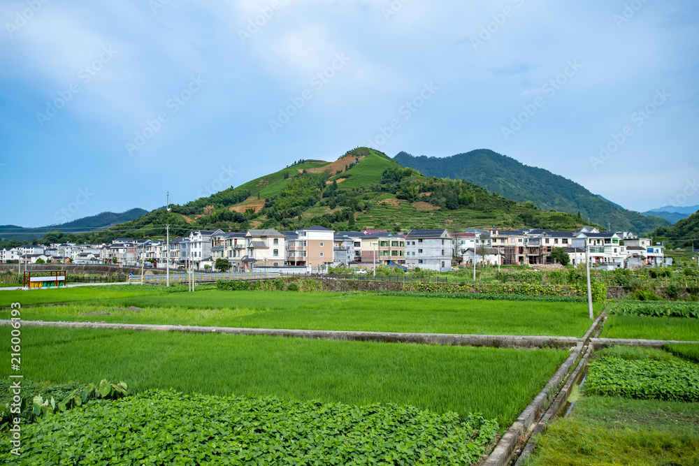 杭州千岛湖的美丽景观