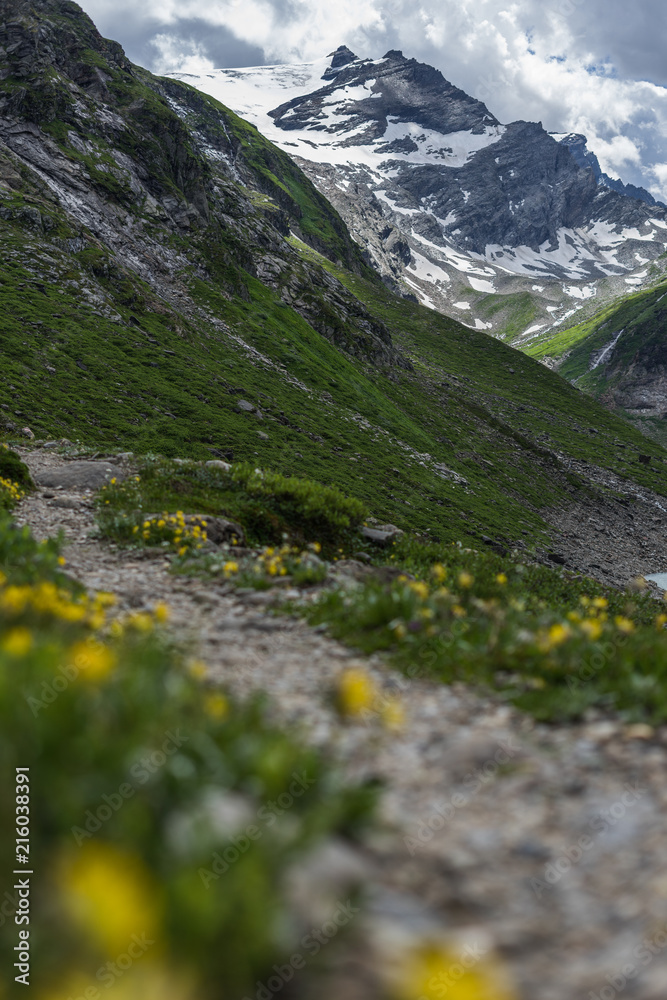 一条有鲜花和绿草的高山小径或小路，通往高山山峰。高