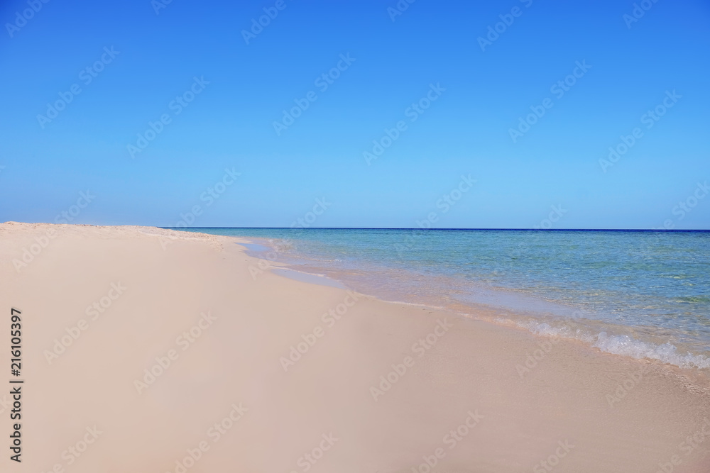 Beautiful view of sandy beach on sunny summer day