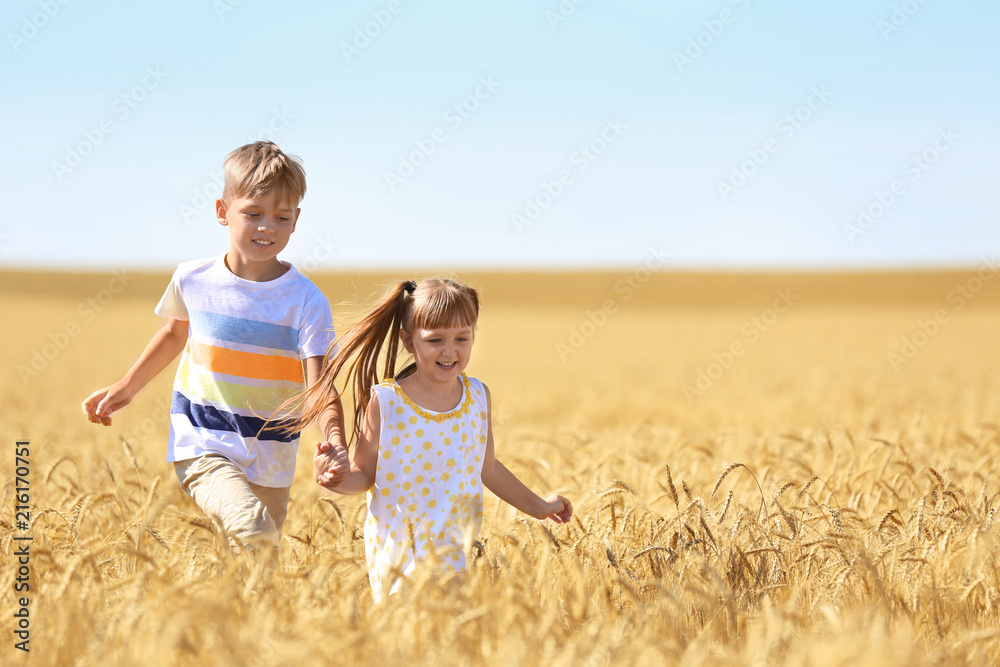 Cute little children running in wheat field on summer day