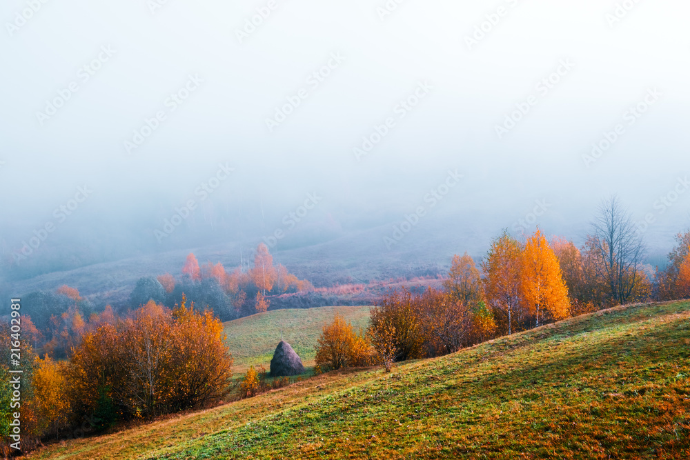 Amazing scene on autumn mountains. Yellow and orange trees in fantastic morning sunlight. Carpathian